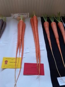 Shevington show 2022