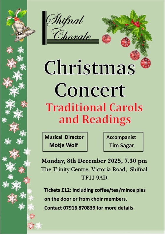 Christmas 2025 Poster A5