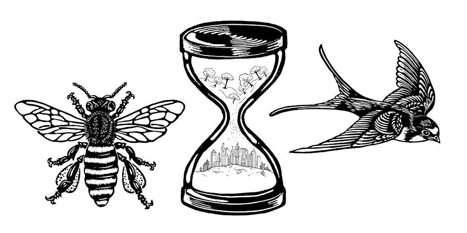 Art for Life Extinction Rebellion 