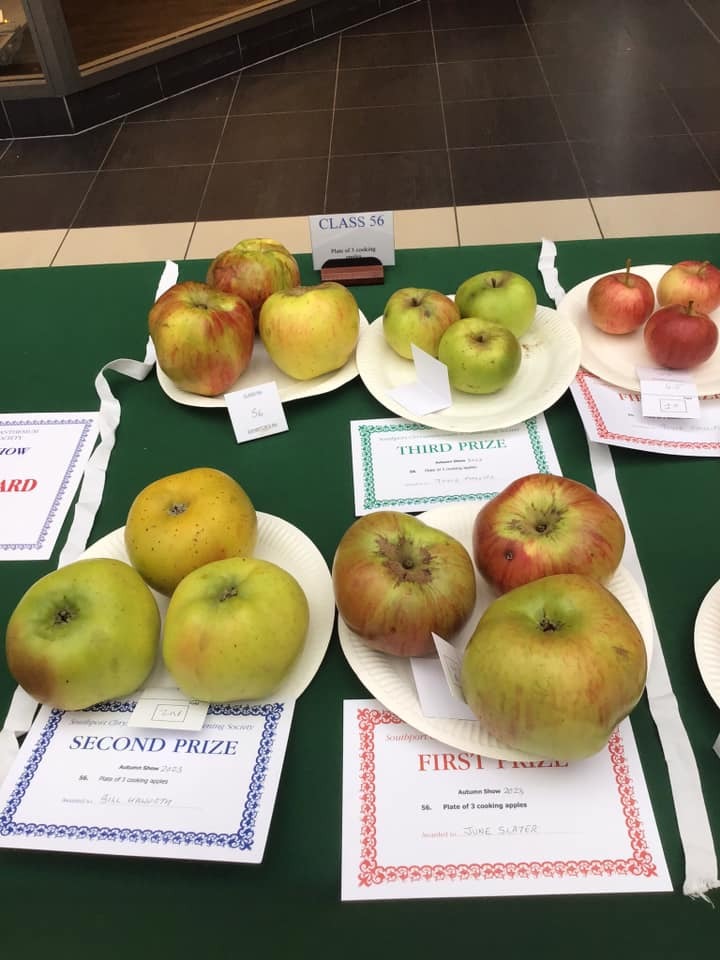 Apple exhibits