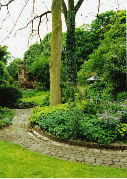 A photo of Chris Mortimer's garden