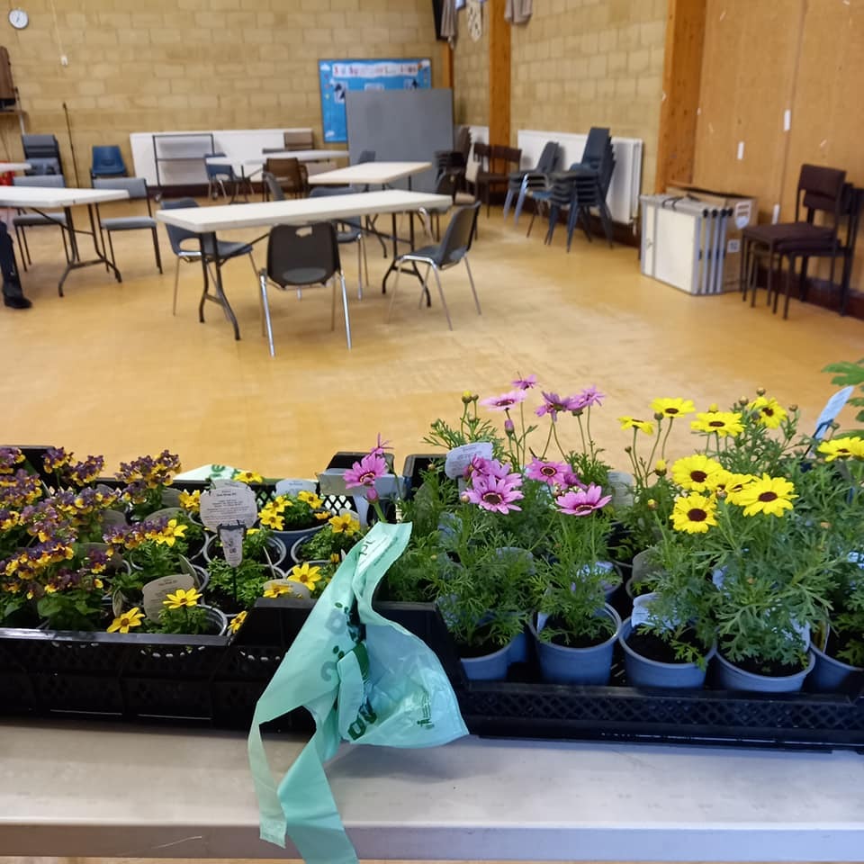 Plant sale and coffee morning