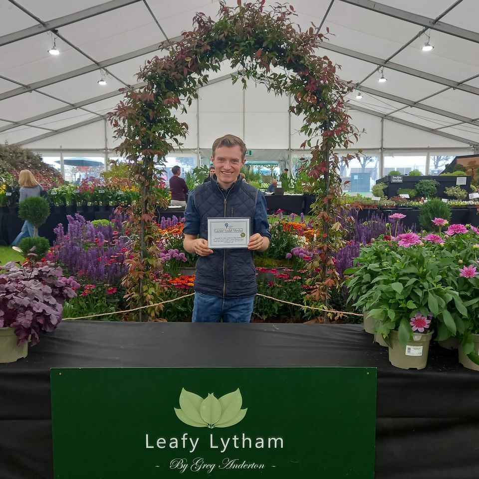 Greg Anderton of Leafy Lytham at 2024 Southport Flower Show