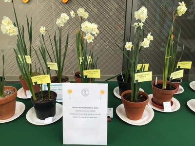 People’s Choice Sponsored bulb