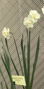 People’s Choice class 41 winner