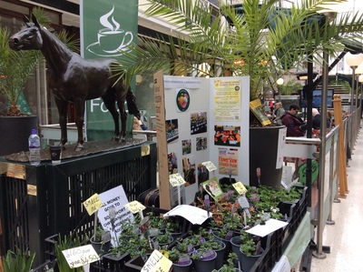 Flower Festival Wayfarers Arcade 29 March 2025