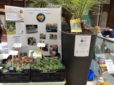 Flower Festival Wayfarer’s Arcade Saturday 29 March 2025.