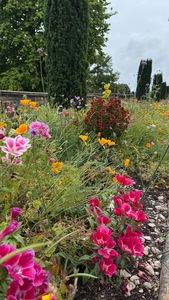 Trentham Gardens 2025