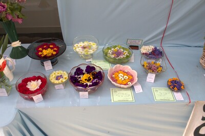 Spring Show 2026 Bowl or dish of floating flower heads Class