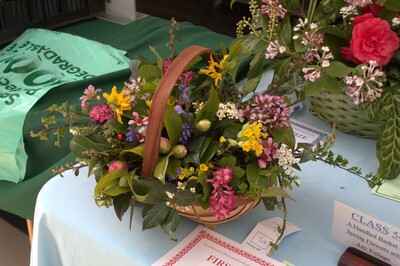 Spring Show 2026 A handled basket of Spring flowers Class