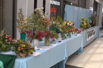 Spring Show 2026 Miscellaneous plants and Miscellaneous craft classes