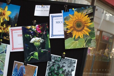 Spring Show 2026 A favourite plant Photography Class