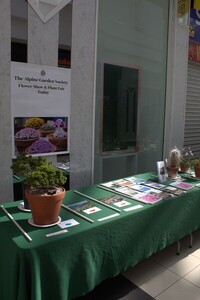 Spring Show 2026 NW Alpine Garden Society 