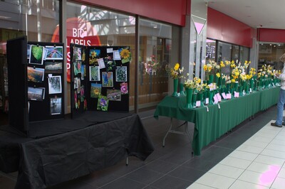 Spring Show 2026 Photography and Daffodils