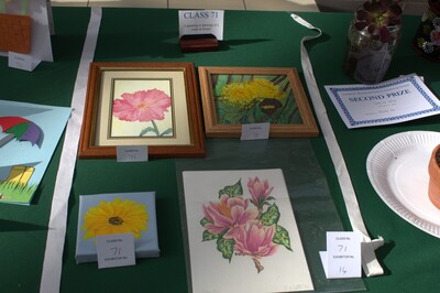 Spring Show 2026 A painting or drawing of a plant or flower Class