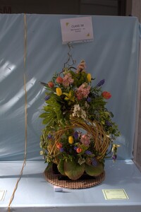 Spring Show 2026 Springwatch Floral Art Class