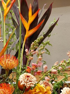 20251211 scgs floral (14)