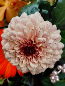 20251211 scgs floral (9)