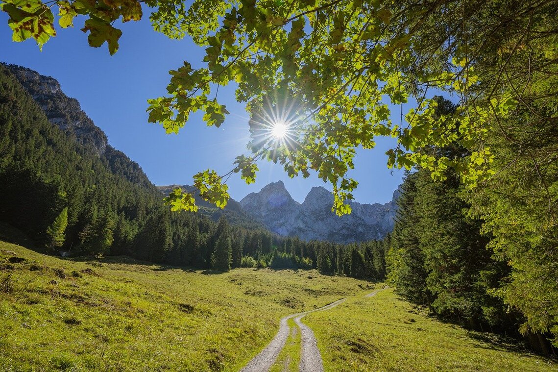 mountain and grassland