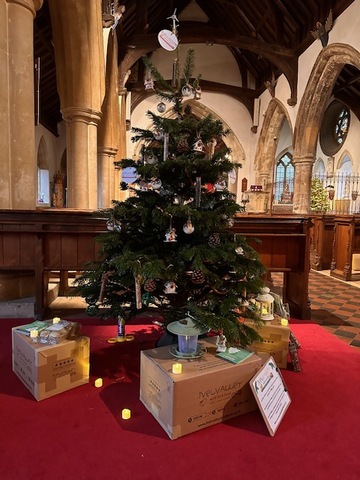 Christmas Tree Festival - 3