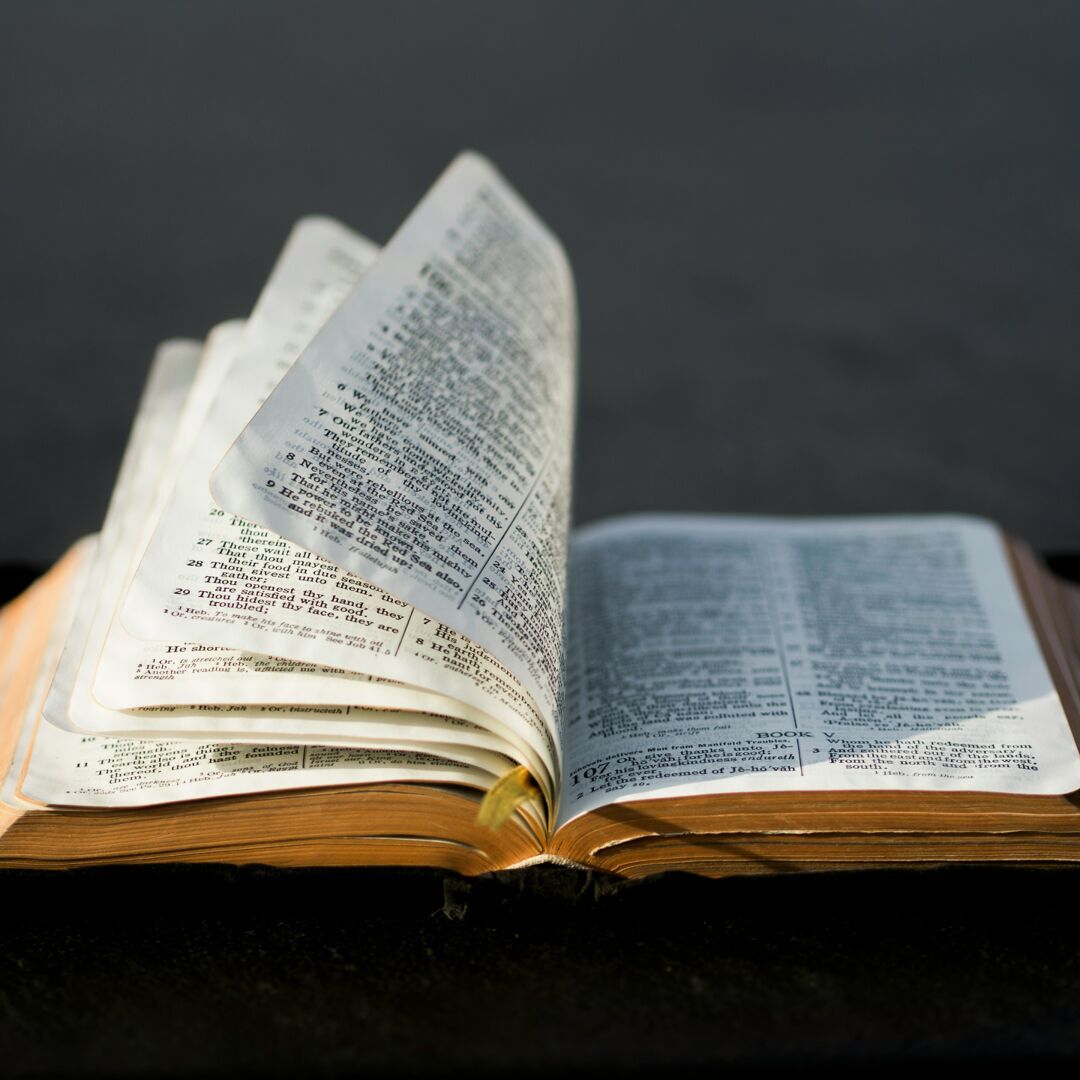 Open the Book - Bible