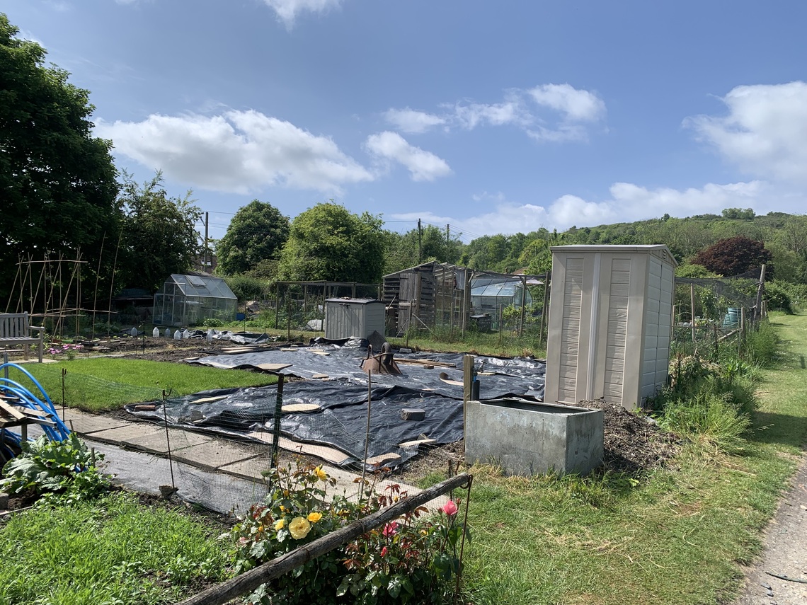 Community Plot at Canada Gardens