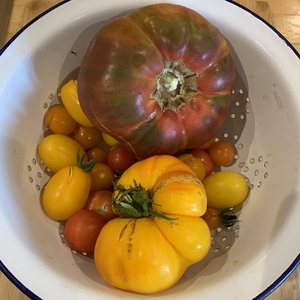 Tomato Miscellany