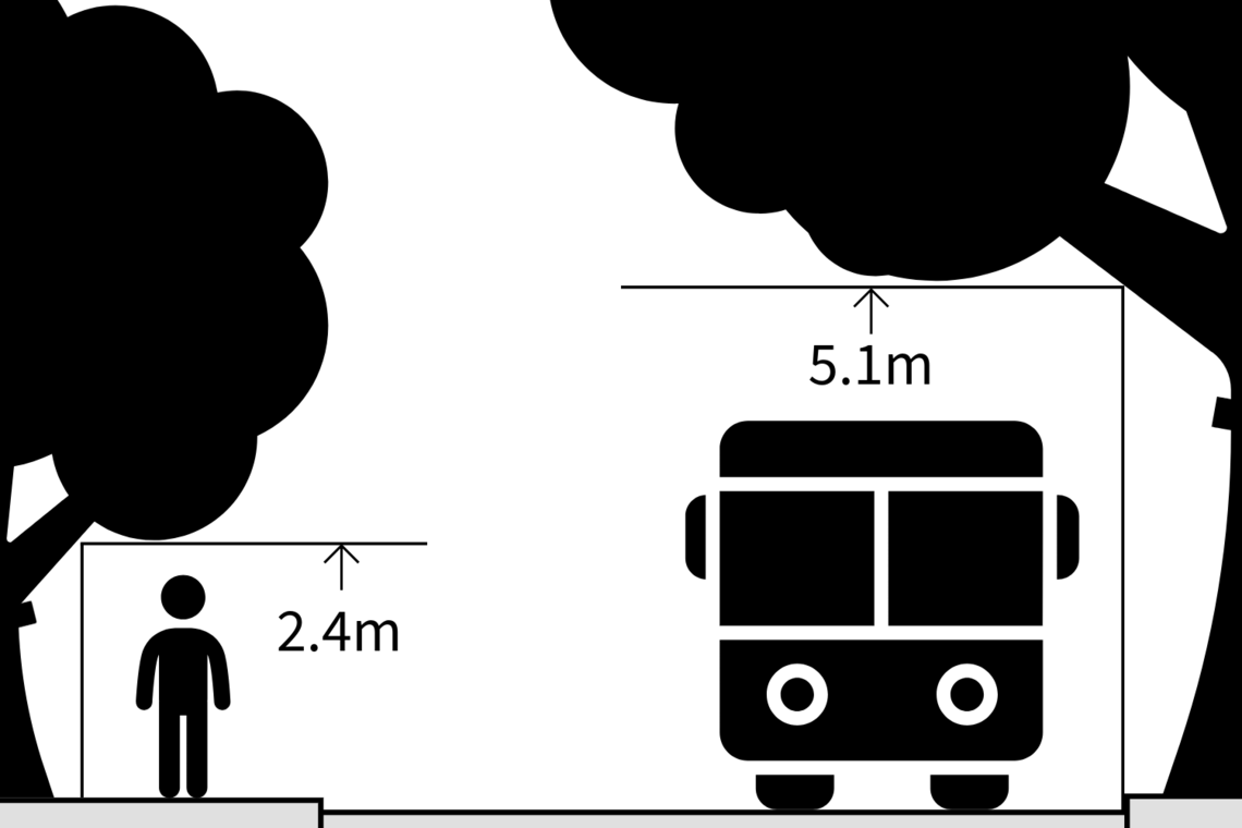 These are the rules regarding hedge and tree cutting back.