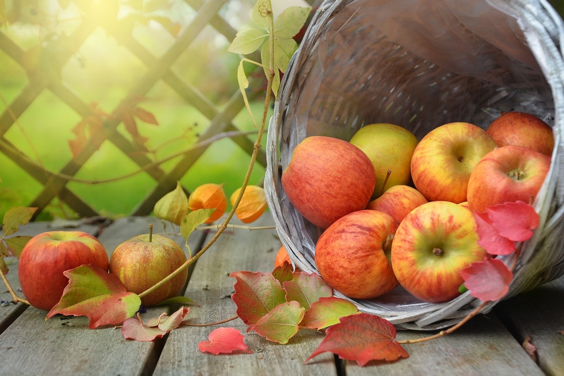 Rosy apples spilling out of a basket