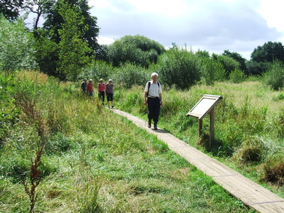 Board Walk - Walkfest 2013