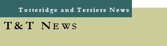 T&T News Logo