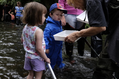 River Dipping - taking a closer look