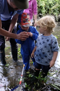 River Dipping - getting up close to the creatures