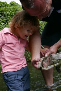 What have we caught?