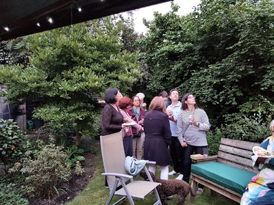 BBQ - a bat whizzes by!