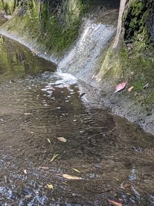 MVIMG_20200721_113905