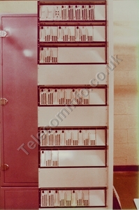 Line Plant Cambridge