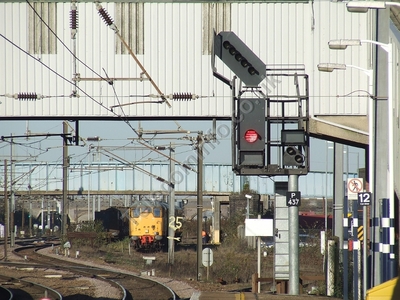 Peterborough 2012  17