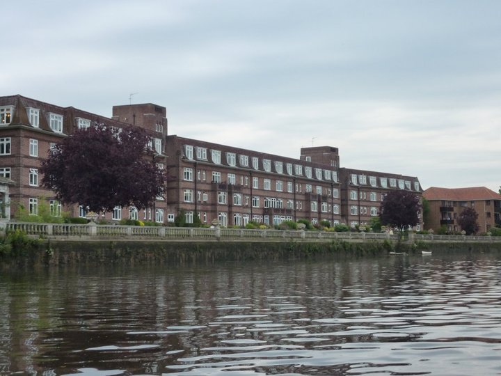 Thames Eyot seen from the Thames