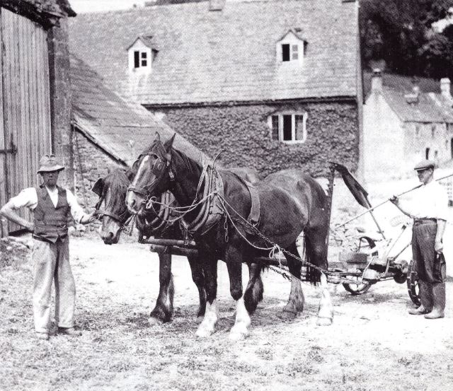 Duntisbourne Leer - workhorses 'Jolly' and 'Ploughboy' pulling a mower together with farmer Bob Watkins (right) and farm worker Hubert Daffen (left)