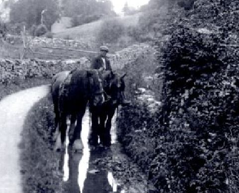 Long Ford - Mr Watson with two work horses in the Long Ford circa mid 1940s (prior to stream widening)
