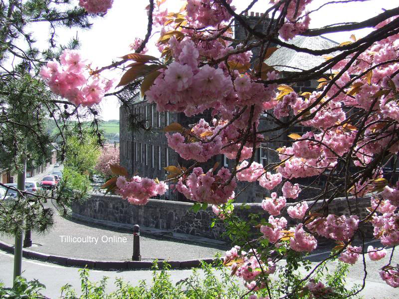 Photos Tillicoultry, Coalsnaughton Devonside Community Council