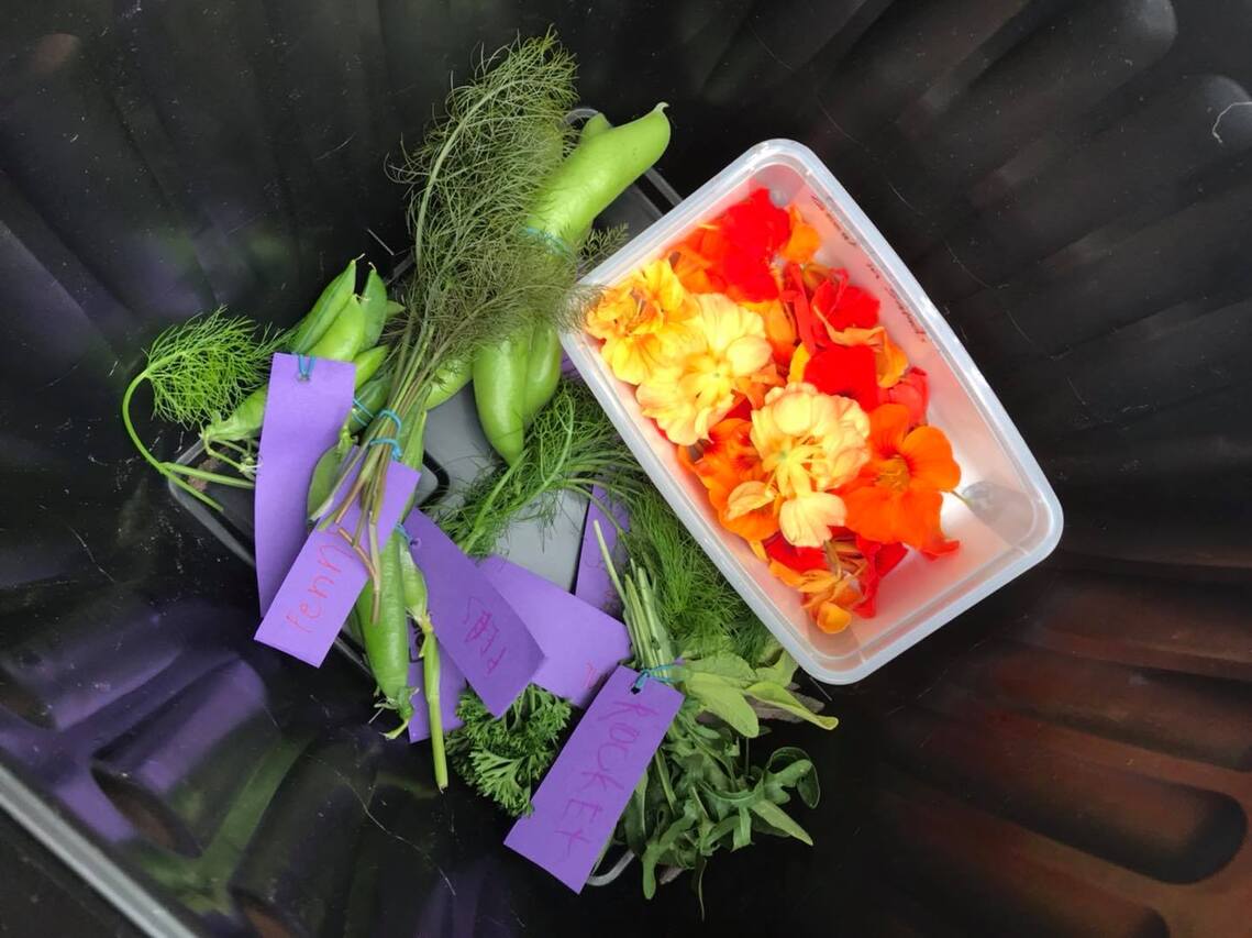 High Street flower/Veg beds Tillicoultry, Coalsnaughton Devonside