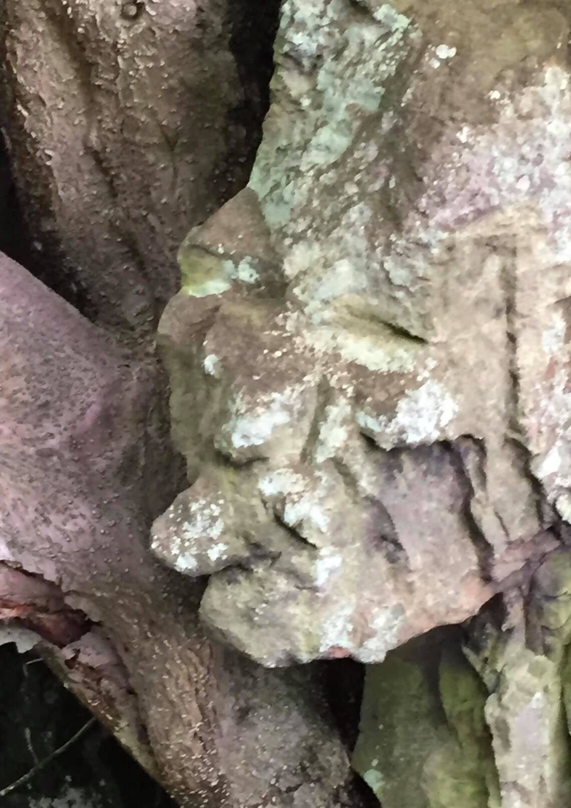 Photos Tillicoultry, Coalsnaughton Devonside Community Council