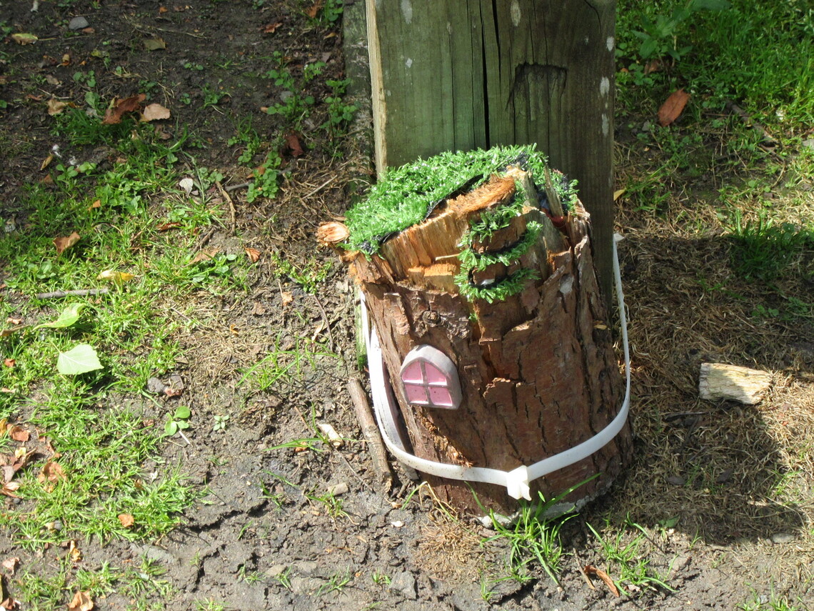 Photos Tillicoultry, Coalsnaughton Devonside Community Council