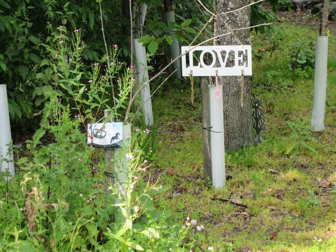 Photos Tillicoultry, Coalsnaughton Devonside Community Council