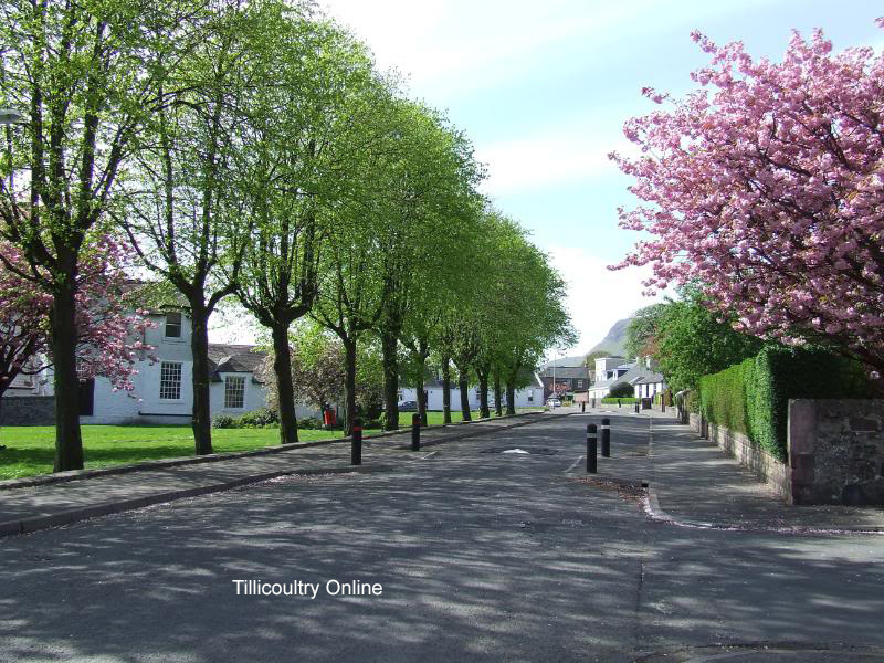 Walker Terrace by Mrtilly