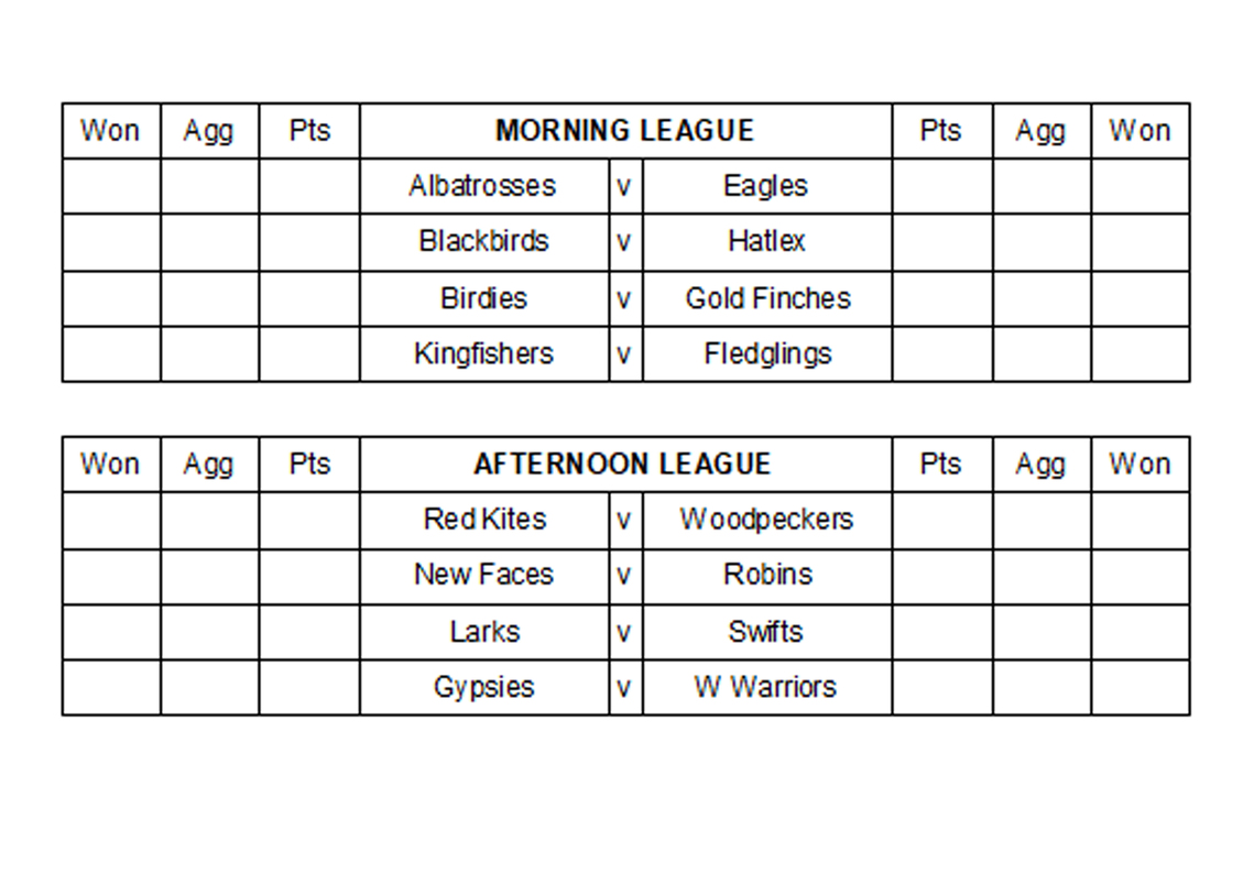 Weekly Results Summary 4