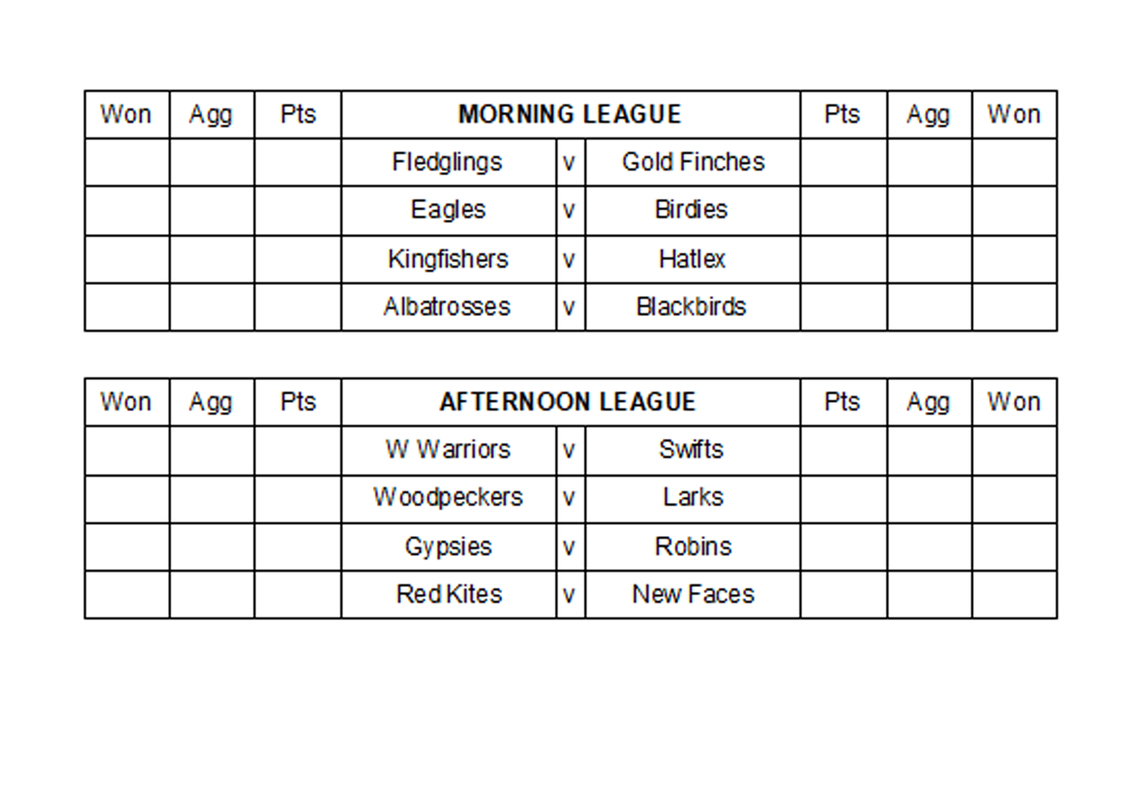 Weekly Results Summary 6