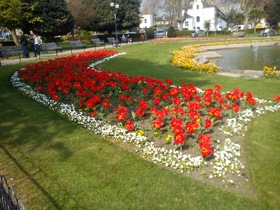 A flower bed in Southend April 2019